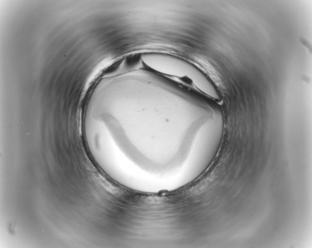 X0000093241180200710241249