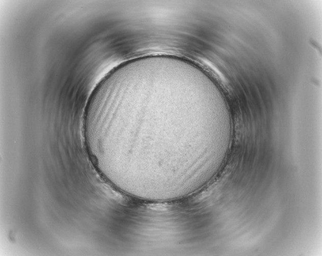 X0000093241182200710241249