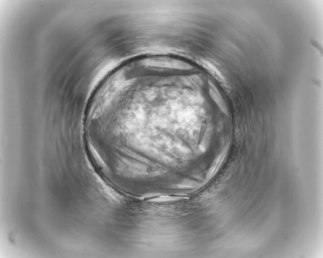 X0000093241183200710241249