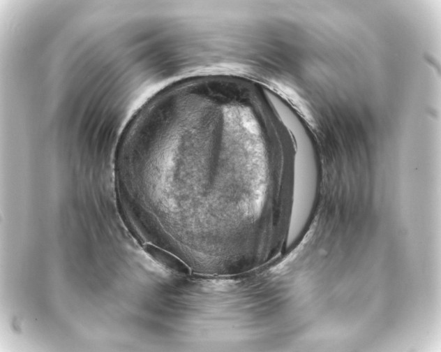 X0000093241184200710241249