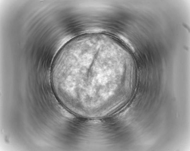 X0000093241186200710241249