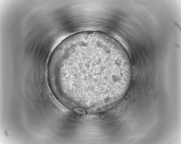 X0000093241187200710241249