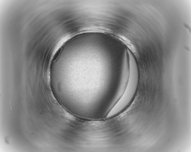 X0000093241188200710241249