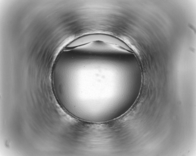 X0000093241189200710241249