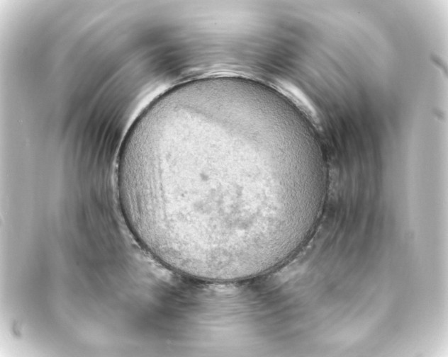 X0000093241190200710241249