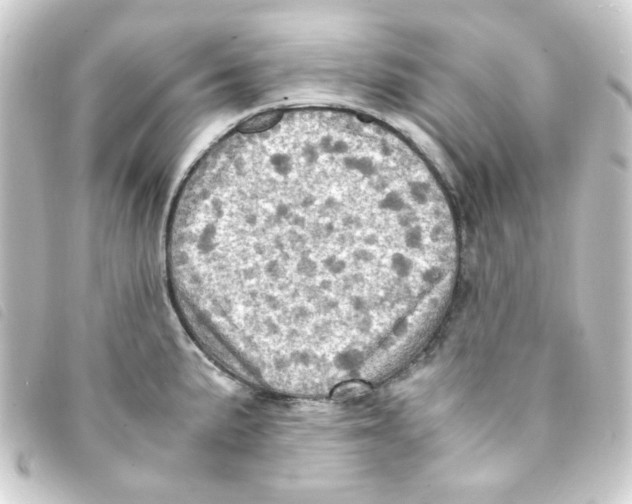 X0000093241191200710241249