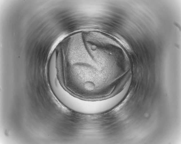 X0000093241196200710241249