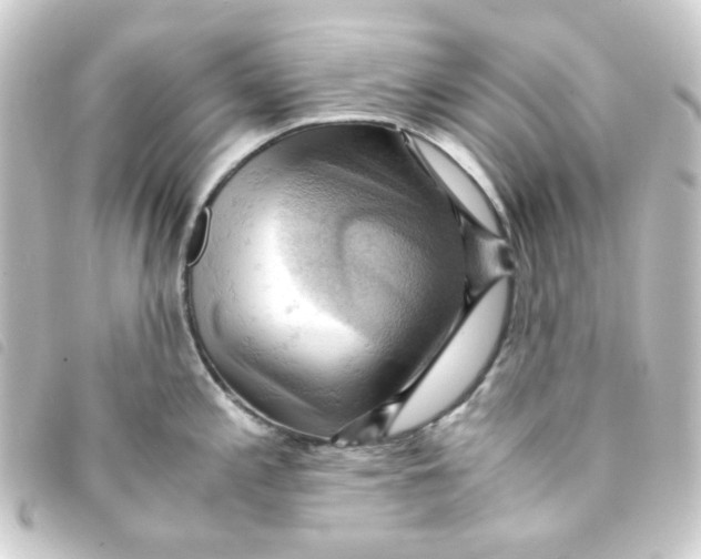 X0000093241197200710241249