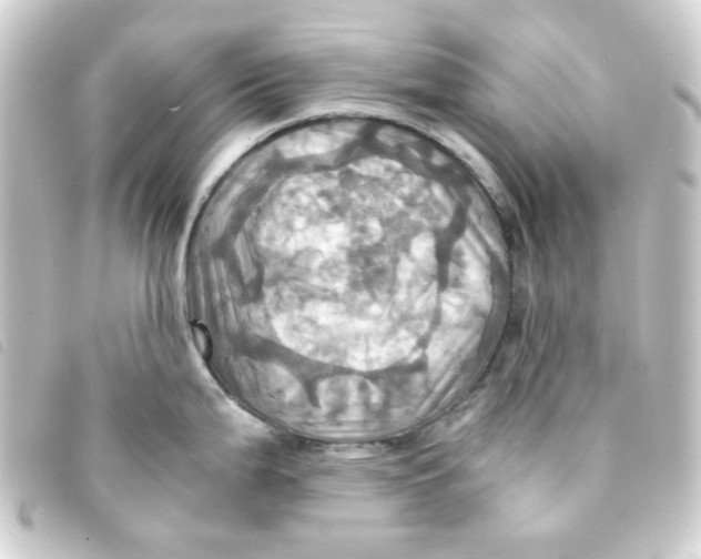 X0000093241199200710241249