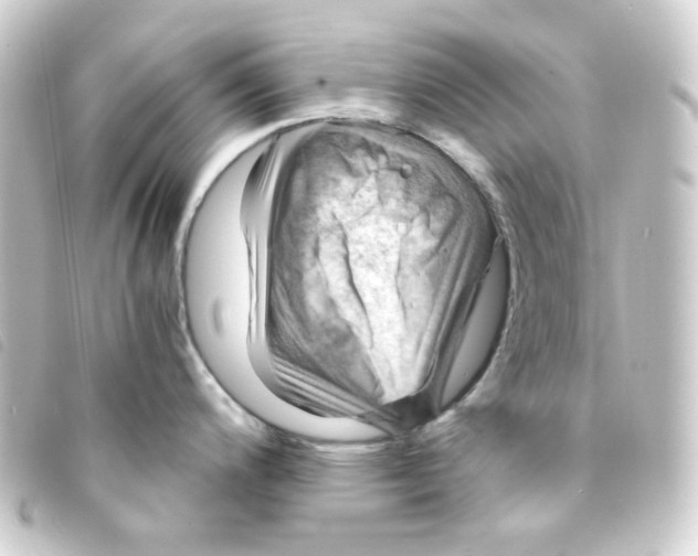 X0000093241200200710241249