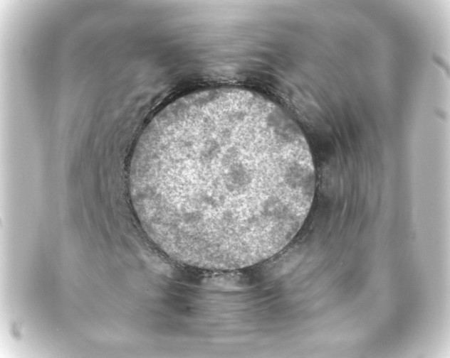 X0000093241201200710241249