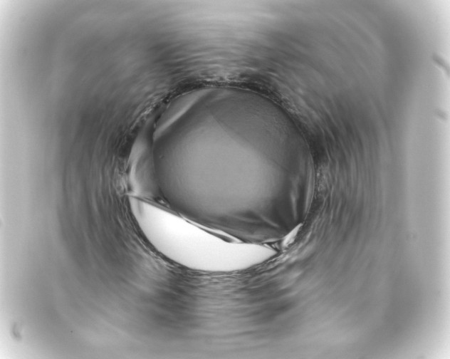 X0000093241202200710241249