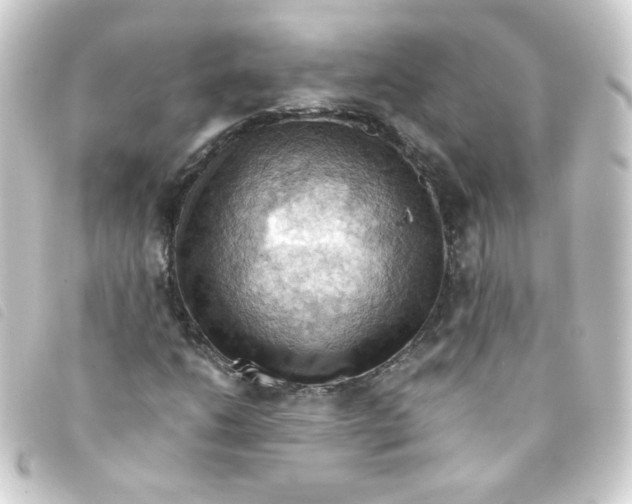 X0000093241206200710241249