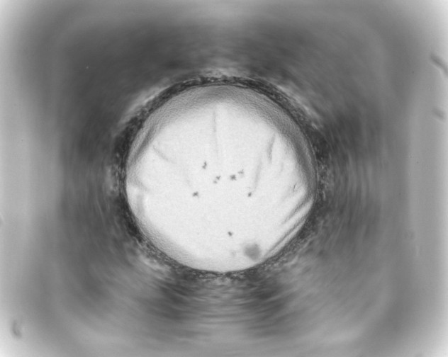 X0000093241207200710241249