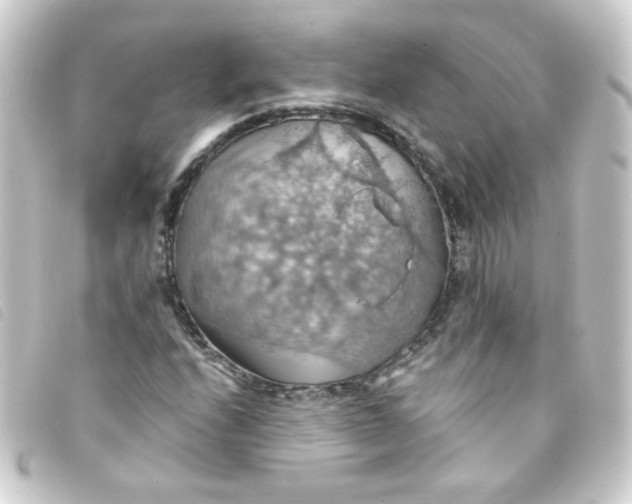 X0000093241208200710241249