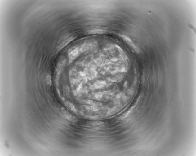 X0000093241209200710241249