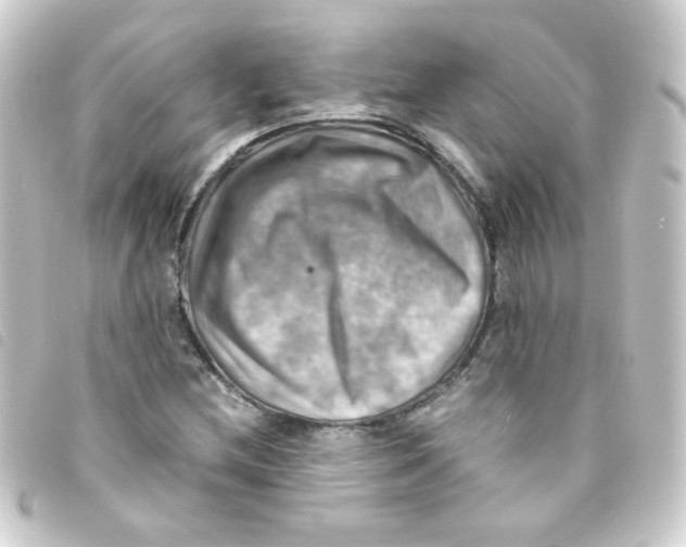 X0000093241212200710241249