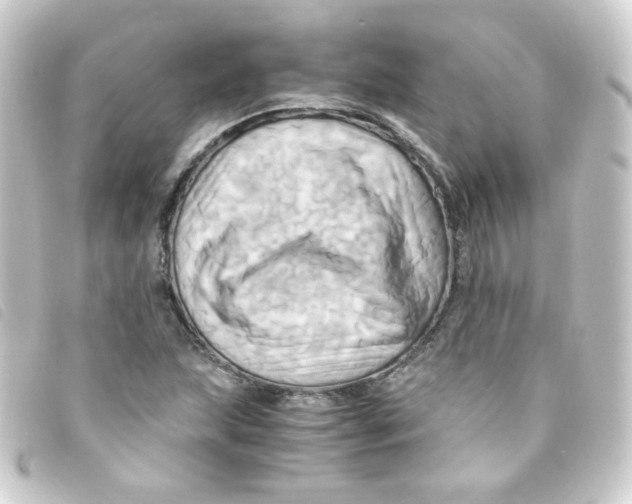 X0000093241215200710241249