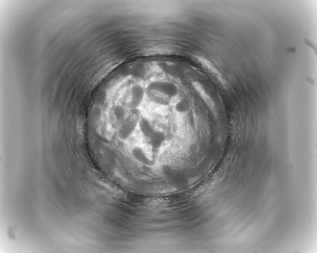 X0000093241217200710241249