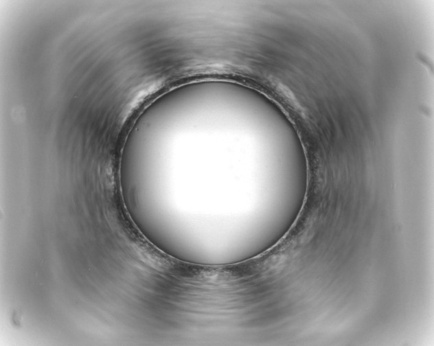 X0000093241218200710241249