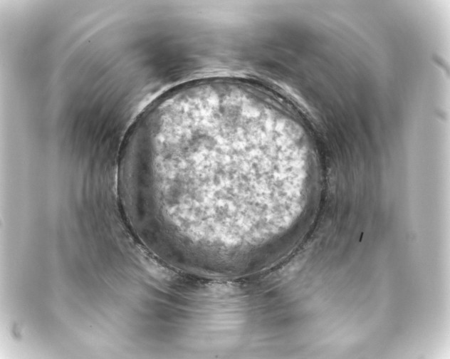 X0000093241220200710241249