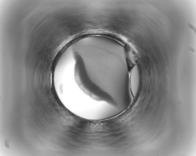 X0000093241221200710241249