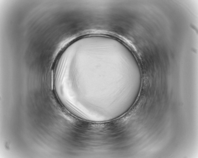 X0000093241223200710241249