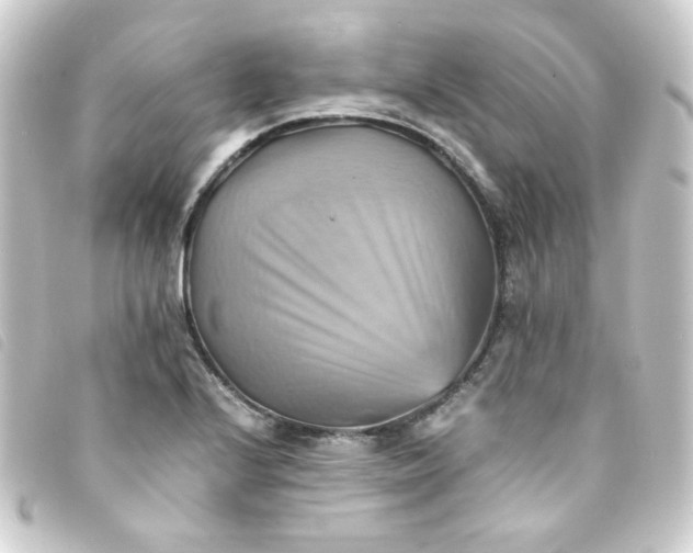 X0000093241224200710241249