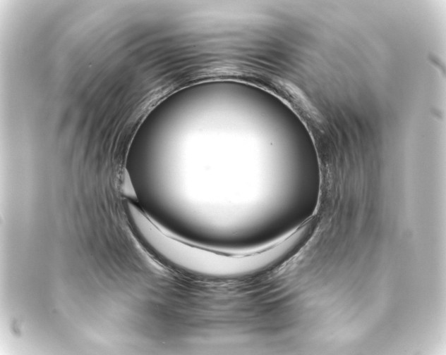 X0000093241225200710241249