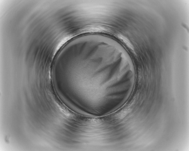 X0000093241226200710241249