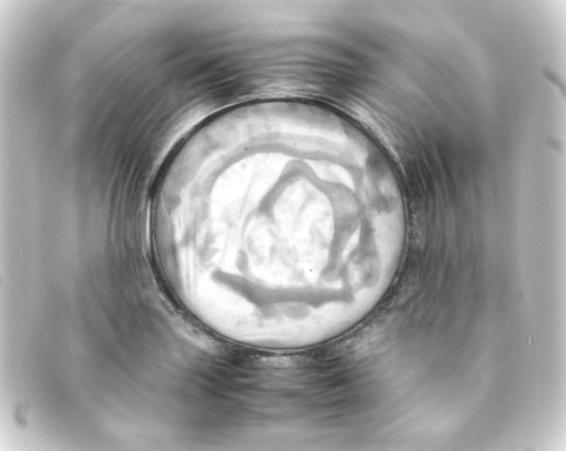 X0000093241227200710241249