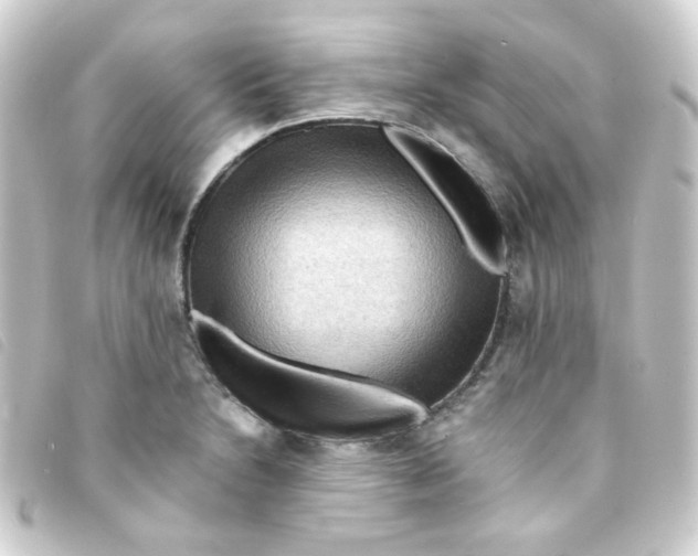 X0000093241230200710241249