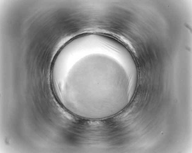 X0000093241231200710241249