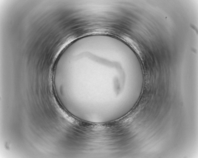 X0000093241235200710241249