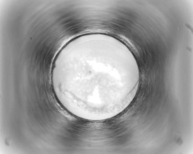 X0000093241236200710241249