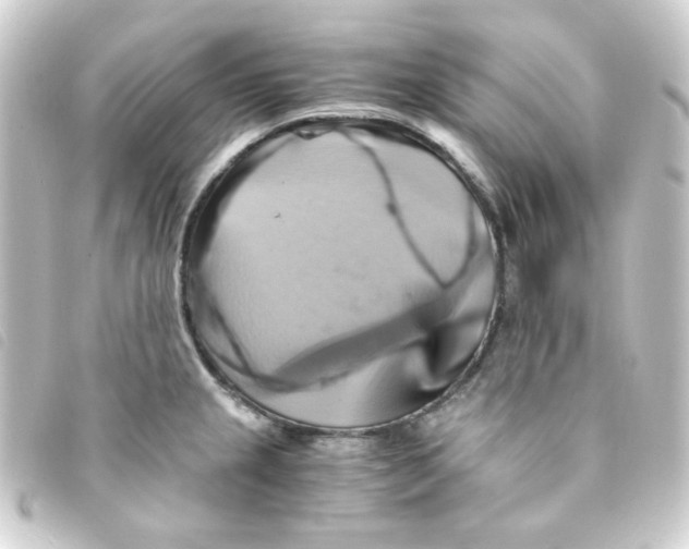 X0000093241237200710241249