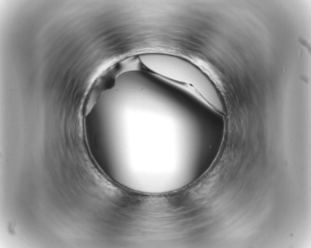 X0000093241238200710241249