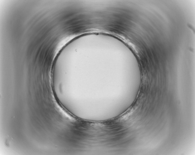 X0000093241239200710241249