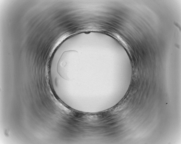 X0000093241243200710241249