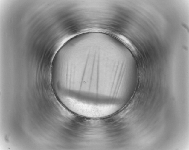 X0000093241244200710241249