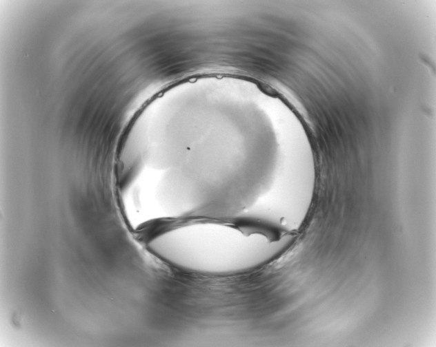 X0000093241245200710241249