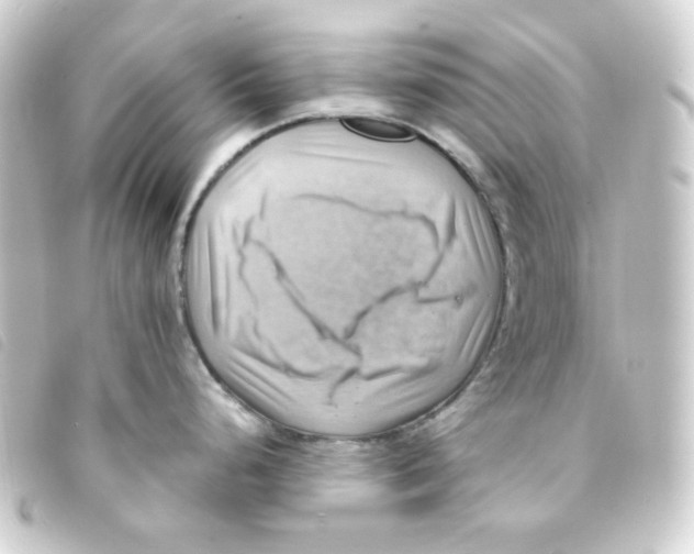 X0000093241248200710241249