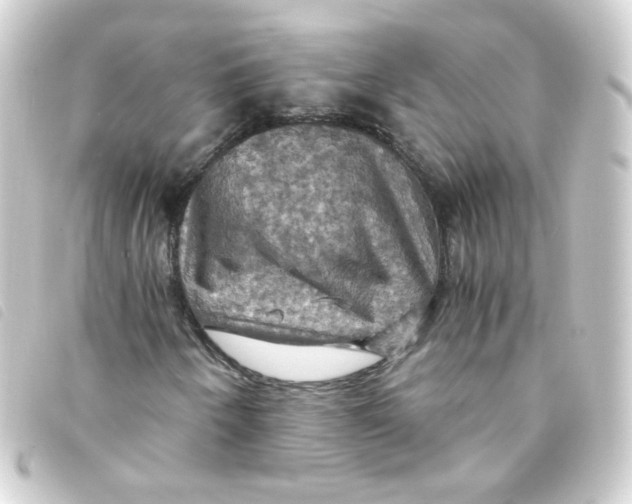 X0000093241250200710241248