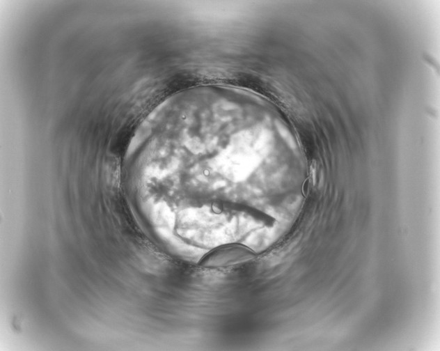 X0000093241251200710241248