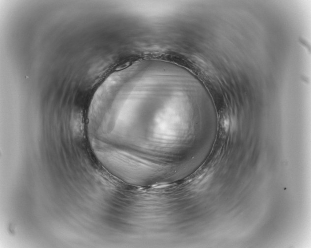 X0000093241252200710241248