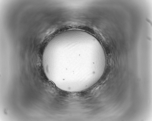 X0000093241253200710241248