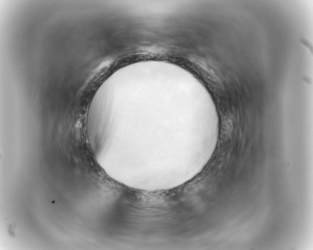 X0000093241254200710241248