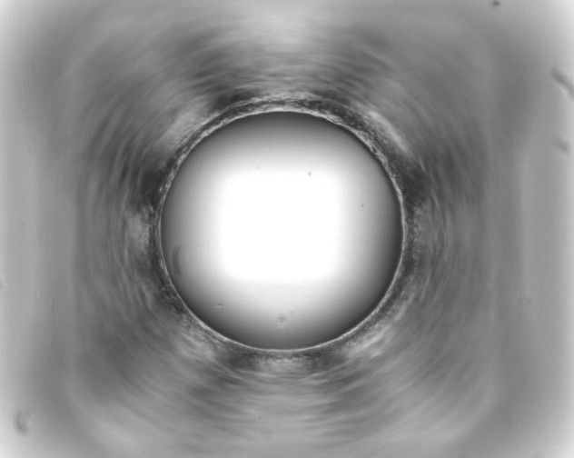 X0000093241257200710241248