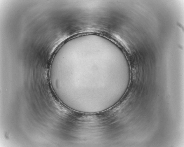 X0000093241260200710241248