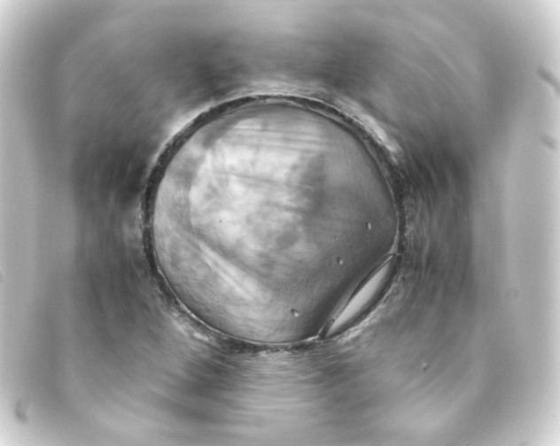 X0000093241264200710241248